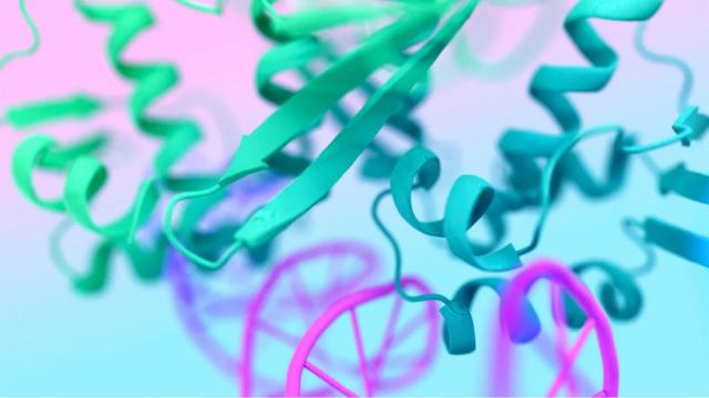 Modelado estructural de Google.