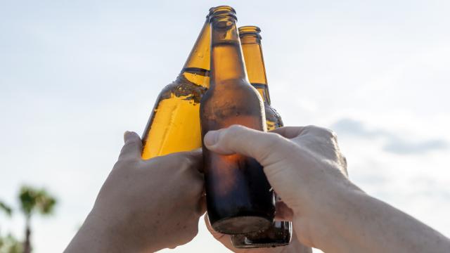 Varias personas brindando con cerveza.