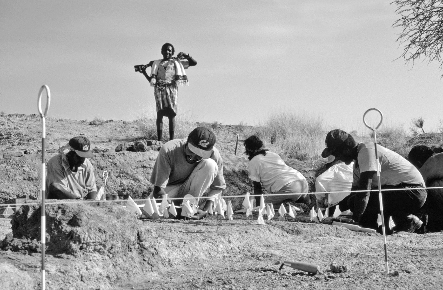 El equipo de excavación descubre poco a poco los huesos del esqueleto.