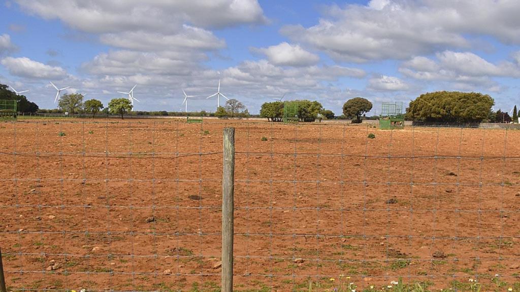 Molinos eólicos desde la Granja Biodinámica Navillas