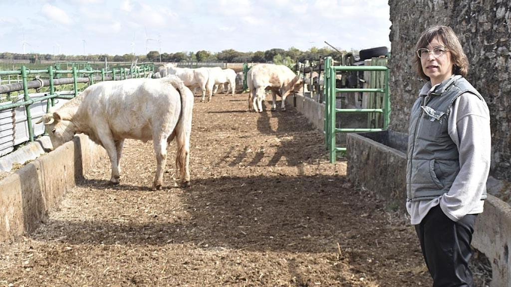 Lourdes con sus vacas en la granja