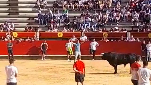 Imagen de una capea en el municipio vallisoletano de Laguna de Duero.