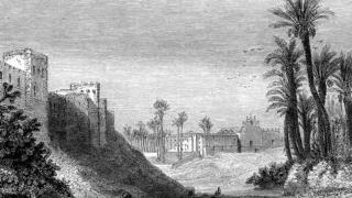 Imagen de Elche en la edad Antigua.