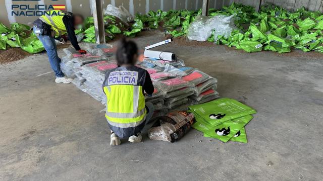 El registro de la nave en la que localizaron la droga en Alicante.