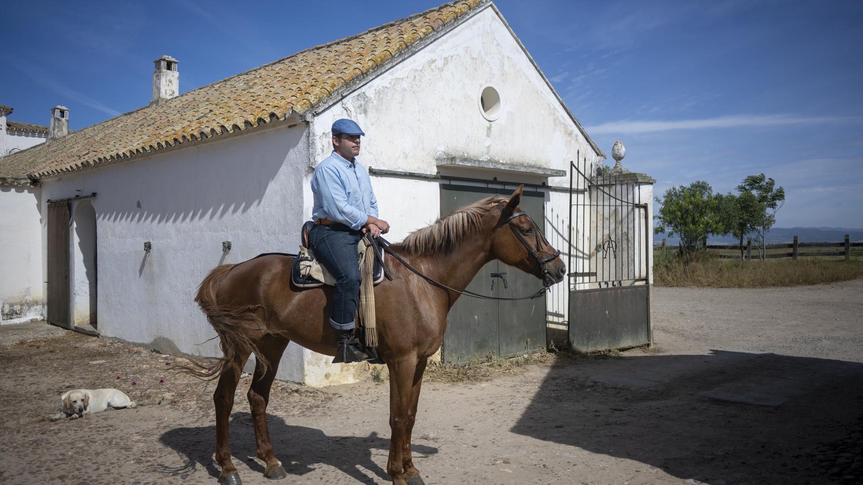 Así es la Finca Zaheriche, donde la familia Miura tiene  los toros de lidia más famosos del mundo.