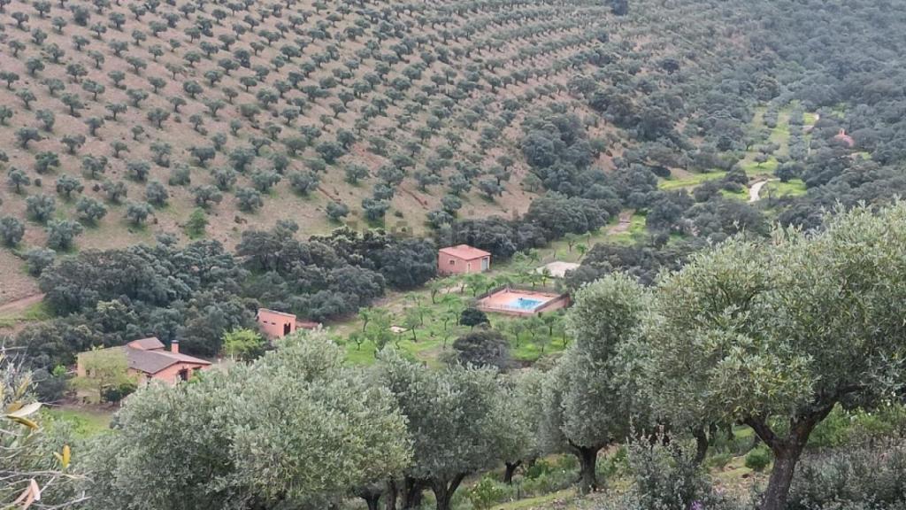 Finca en venta en la provincia de Toledo. Foto: Idealista.