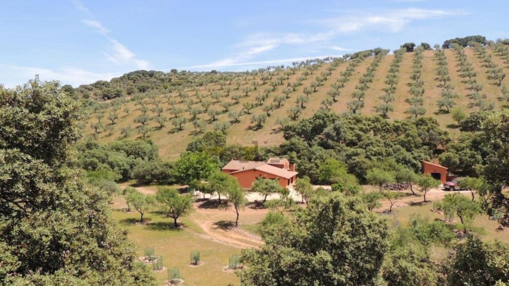 Finca en venta en la provincia de Toledo. Foto: Idealista.
