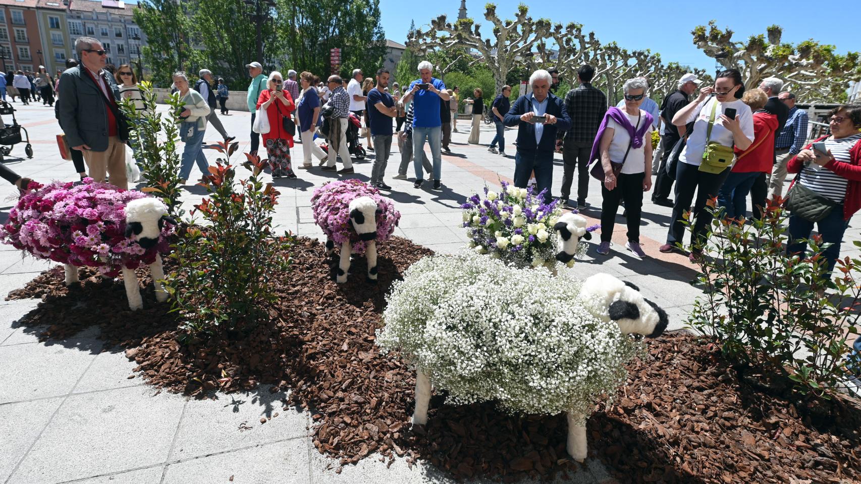 Fiesta de las flores 2024