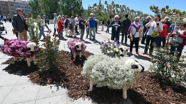 Fiesta de las flores 2024