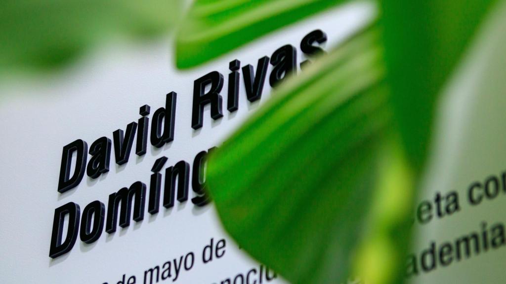 Espacio Expositivo David Rivas en Synergias
