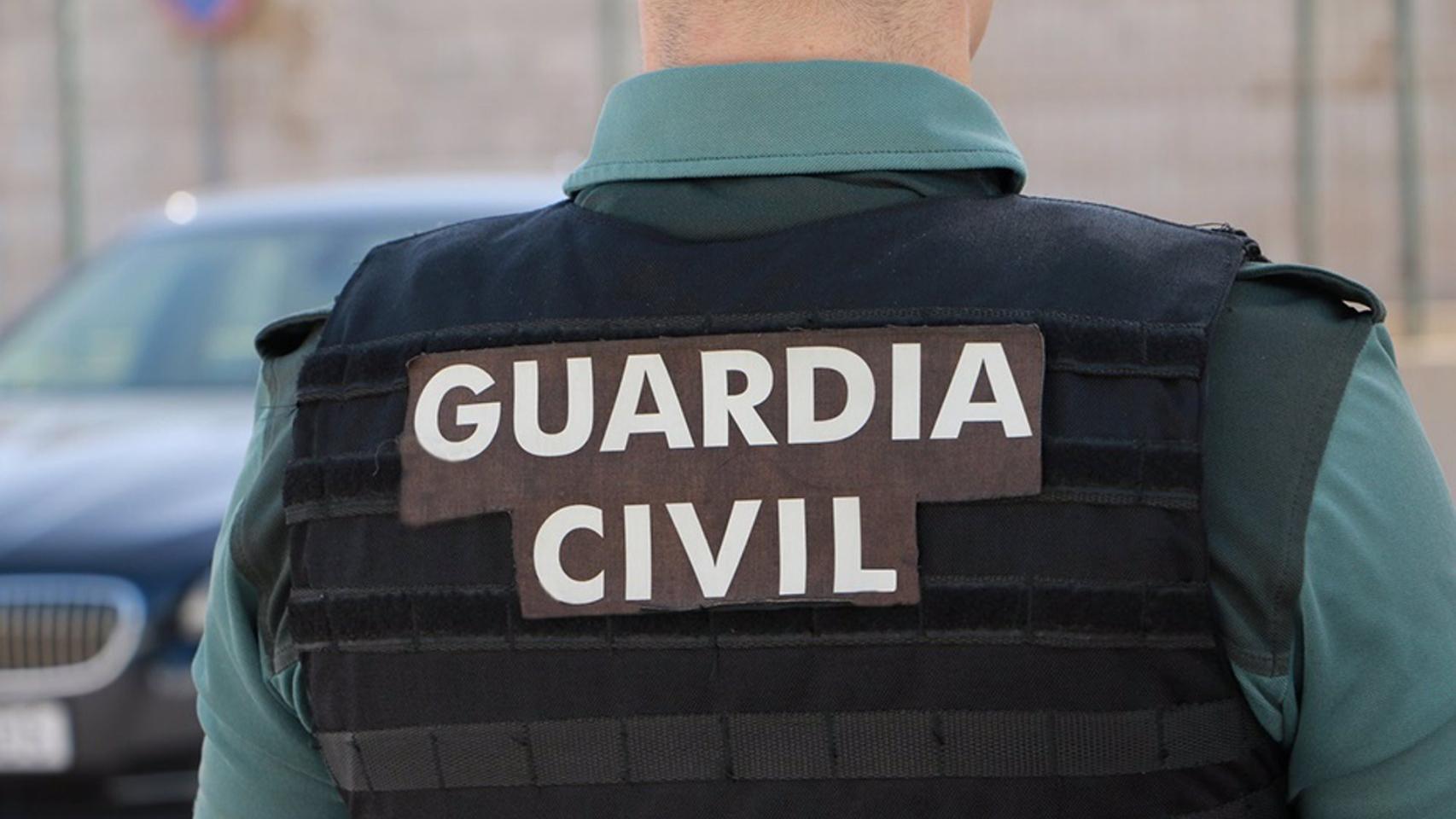 Cae una organización que utilizaba vehículos de transporte de caballos para traficar con droga