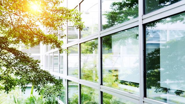 Ventanas de cristal.