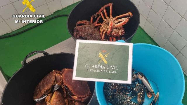 Incautación centollas, buey de mar y bogavante en Laxe