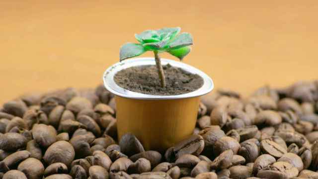 Abono, mobiliario urbano o bicicletas: así es la segunda vida de las cápsulas de café