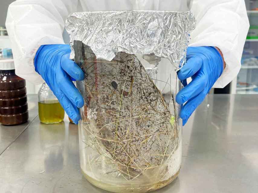 Andres Yarzábal con el bloque de hielo de 6.000 años en el Laboratorio de la Universidad Católica de Cuenca. Marzo de 2024.