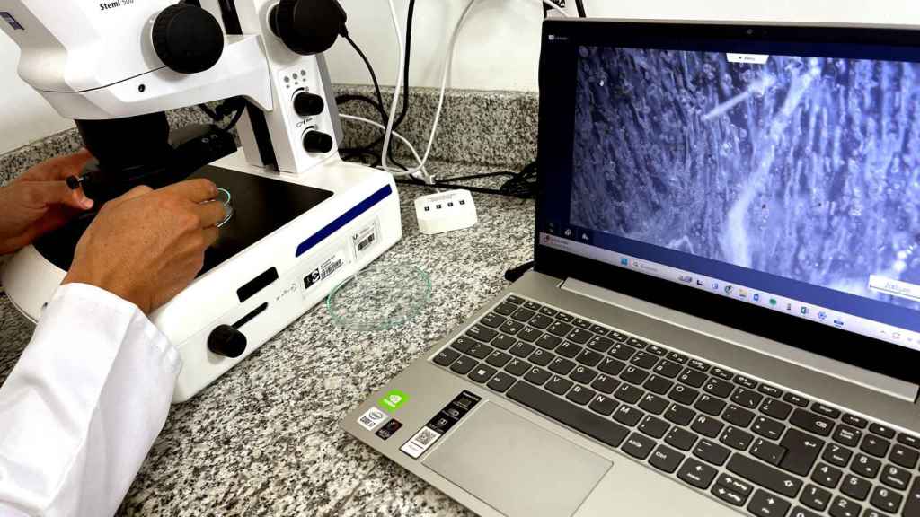 Científicos trabajan en con muestras de hielo del Chimborazo.