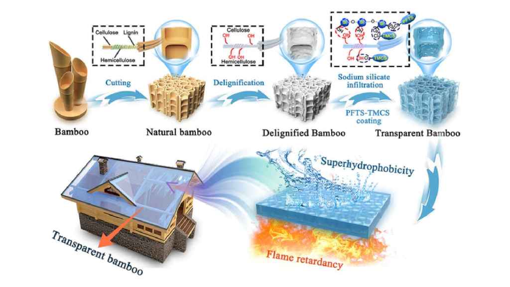 Esquema del bambú transparente publicado por los investigadores del CSUFT