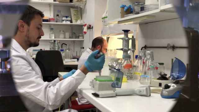 Fotografía de archivo del equipo de EvoEnzyme.