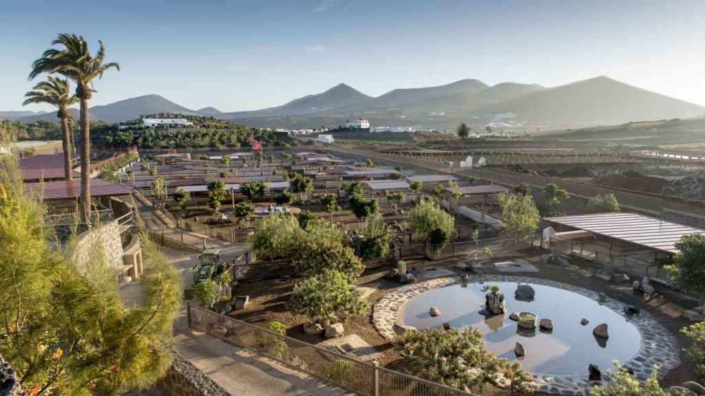 Vista panorámica de Finca Uga, en Lanzarote, Las Palmas de Gran Canaria.