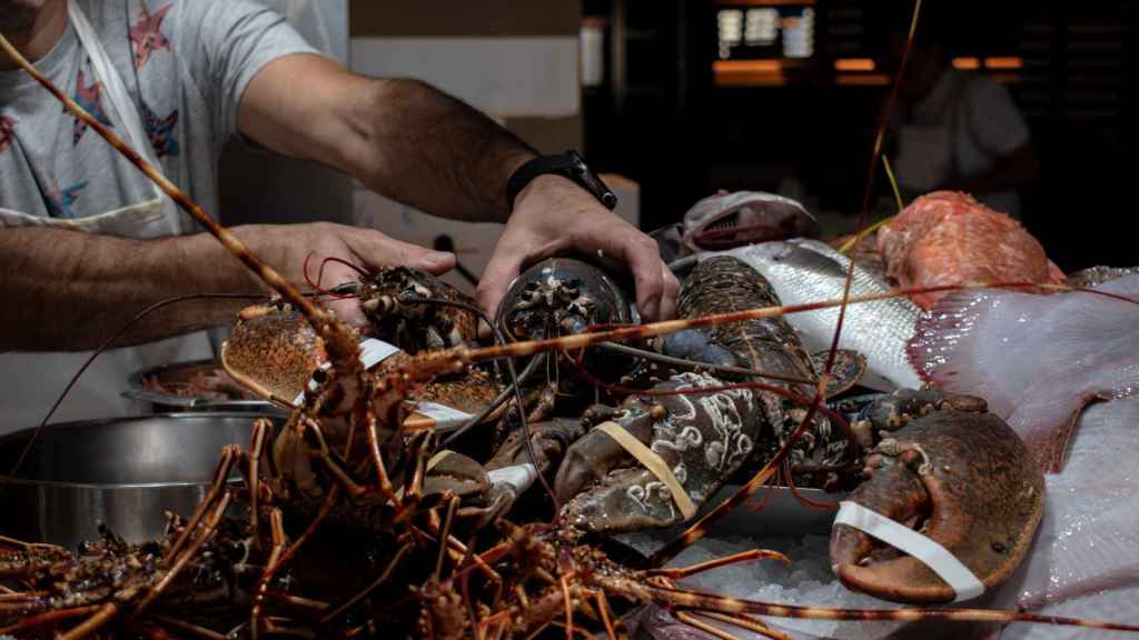Fotografías de la metamorfosis del restaurante Los Marinos José.