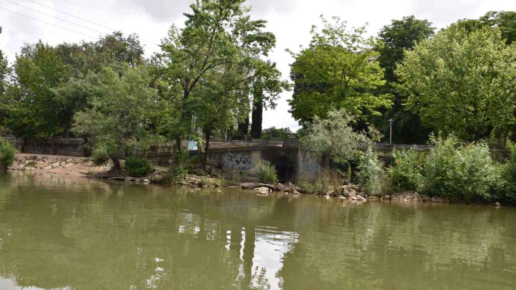 Entrada del ramal norte de la Esgueva donde se esconden bóvedas