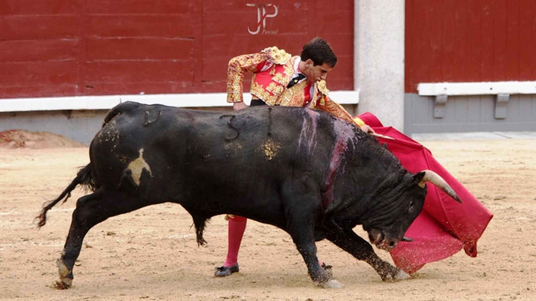 Las mejores imágenes de una tarde de toros en Las Ventas