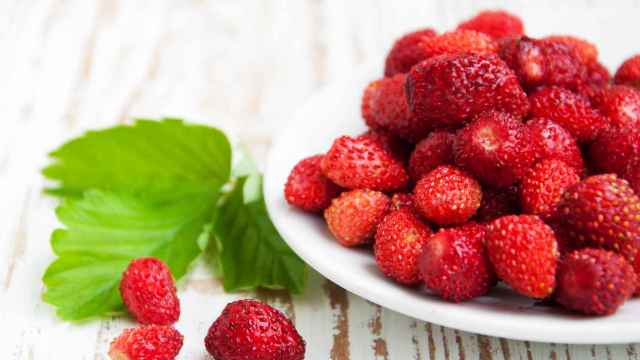 El secreto del chef José Andrés para hacer el postre con fresas más rico del verano