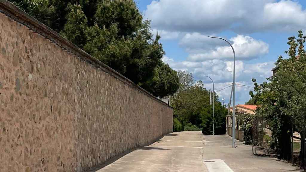 Detrás de ese muro se encuentran los perros.