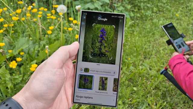 Usando Circle to Search para buscar una flor