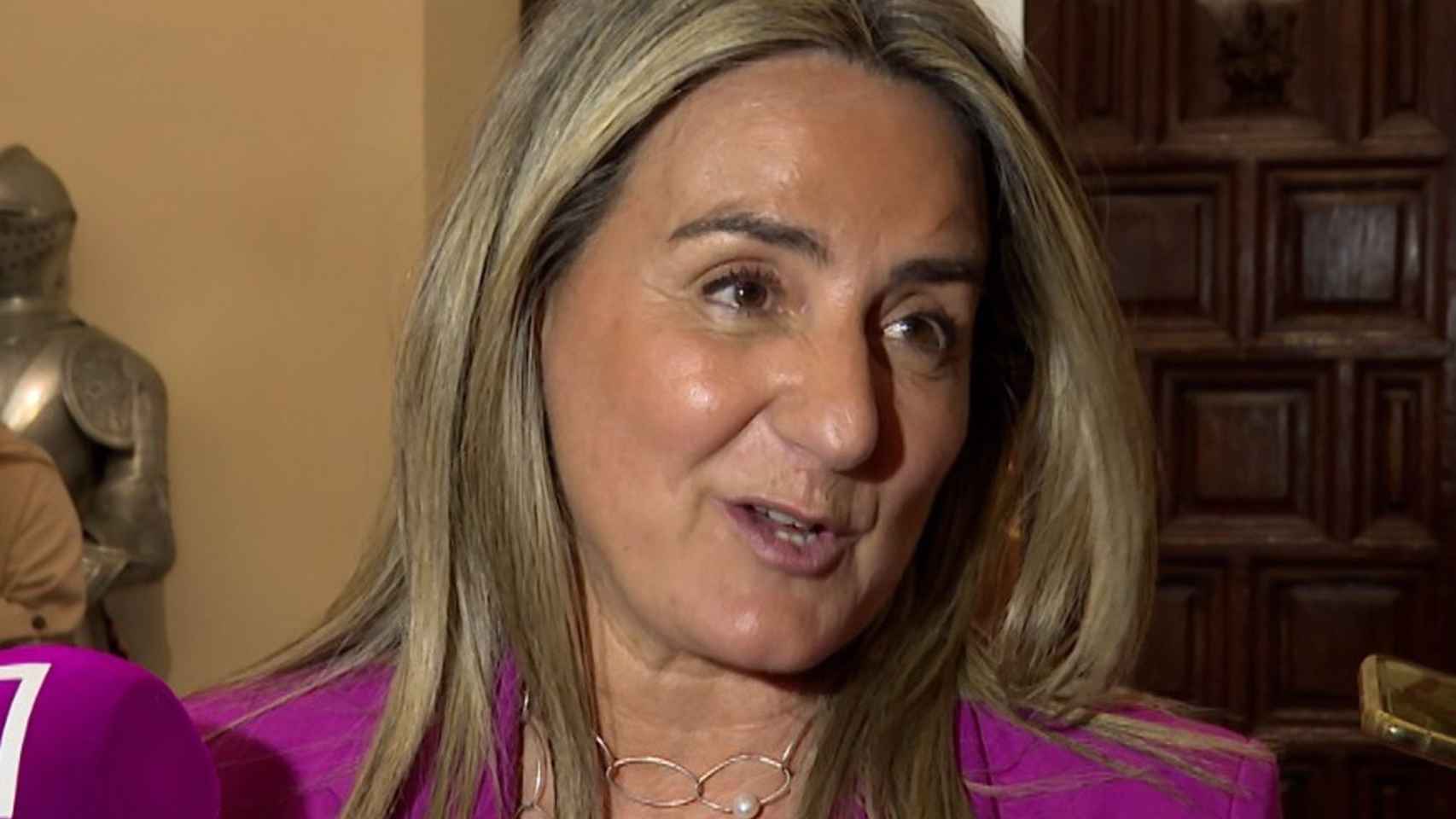 La delegada del Gobierno en Castilla-La Mancha, Milagros Tolón.