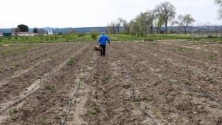 Varios pueblos de Ciudad Real sufren una oleada de robos en el campo: Va a suponer la ruina