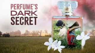Portada del documental 'Perfume's Dark Secret
