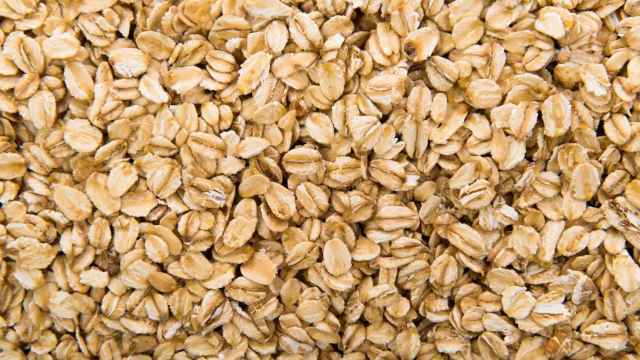 Avena.
