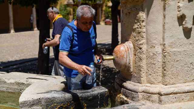 Durante episodios de calor extremo es recomendable buscar sobra y mantenerse hidratado.