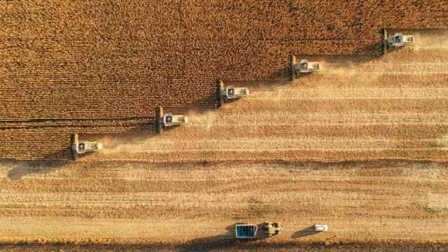 El sistema alimentario es ineficiente en el uso de tierra, recursos y desperdicios