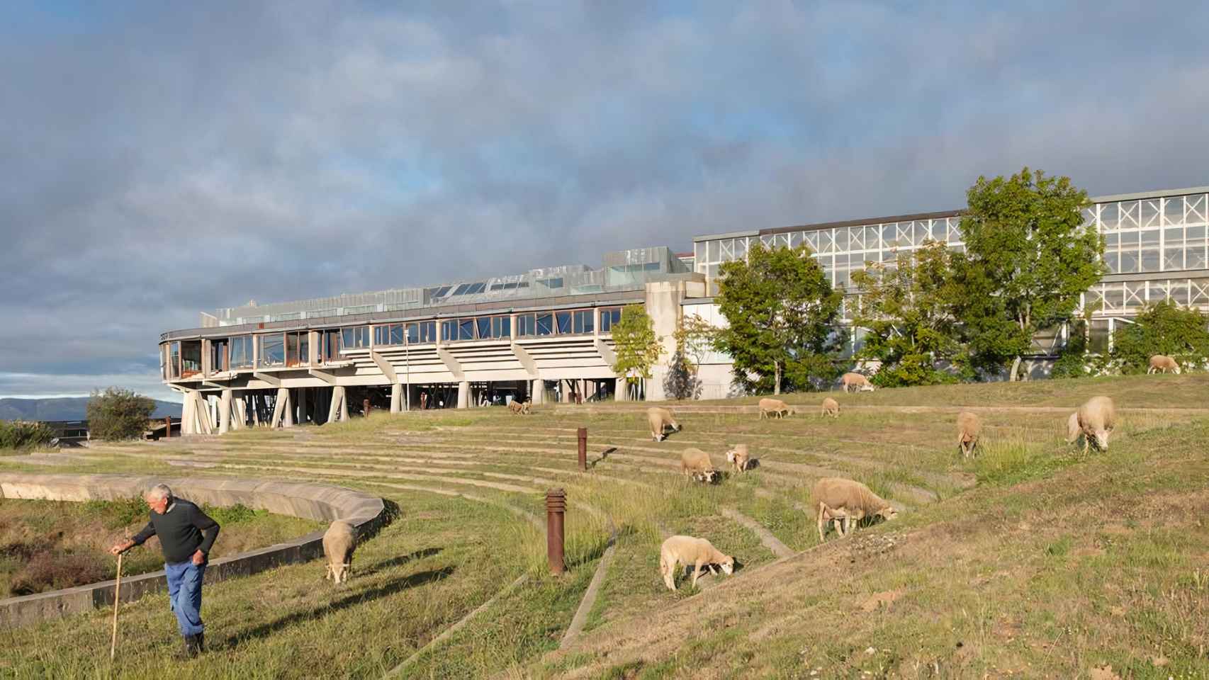 Campus universitario de Vigo.