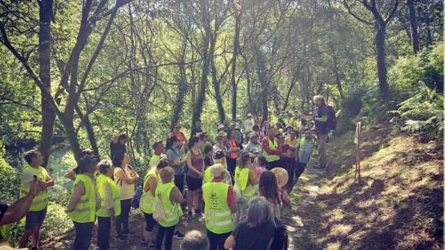 Andaina por la senda fluvial del río Lérez.