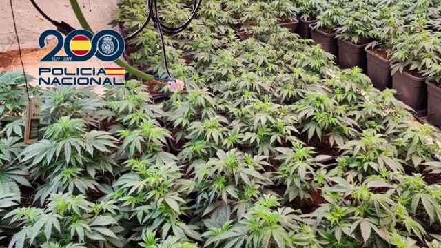 Detienen a seis miembros de una familia tras desmantelar un punto de venta de droga en un edificio de Picassent. Policía Nacional