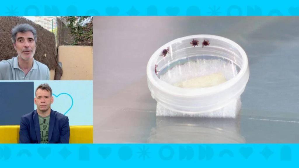 Jorge Fernández, este lunes en 'Espejo Público'.