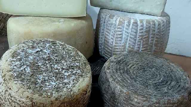 Quesos de Vega Alberche, la granja ganadora del concurso.