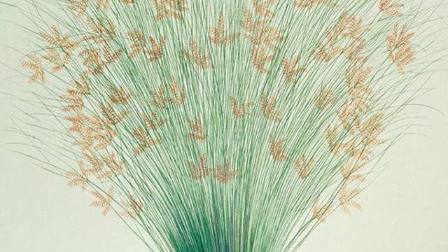 Portada de 'El infinito en un junco'.