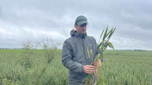 Este agricultor posee 240 hectáreas con productos como trigo, remolacha o cebada en Francia.
