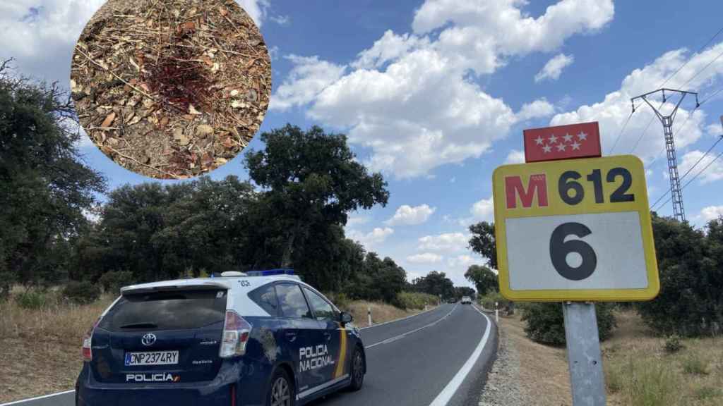 El kilómetro 6 de la M-612, donde Borja Villacís fue asesinado.