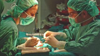 Dos médicos trasplantando un órgano en un hospital de Andalucía.