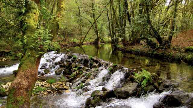 Río Xabriña.
