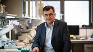 Eduard Batllé, coordinador del Programa de Cáncer del IRB Barcelona.