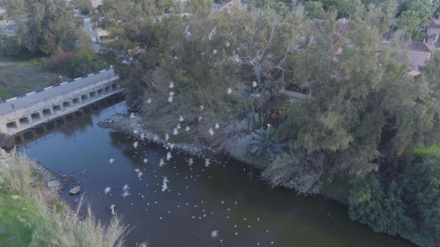Río Guadaiza, en San Pedro Alcántara.