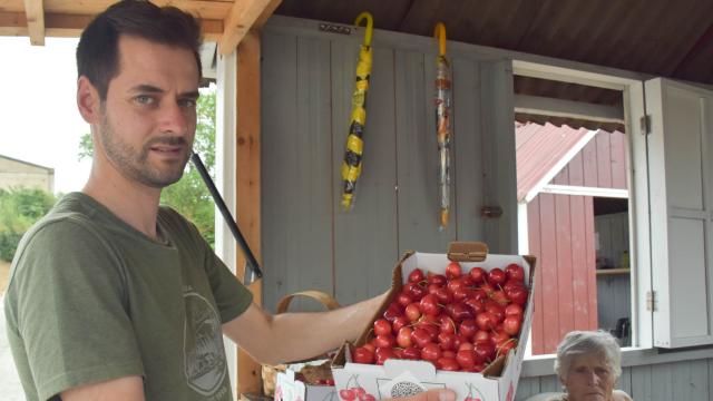 Fiesta de la Cereza de Alfândega da Fé en 2024