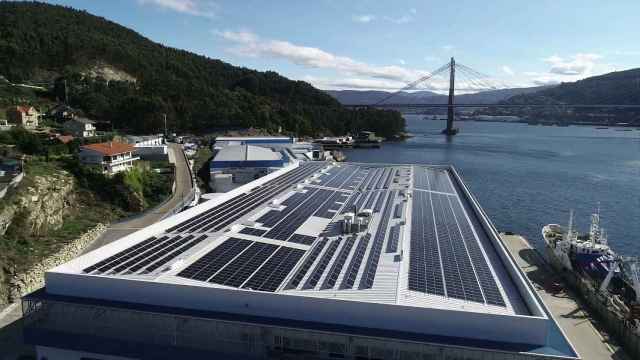 Instalaciones de la pesquera Fandicosta en Domaio (Moaña).