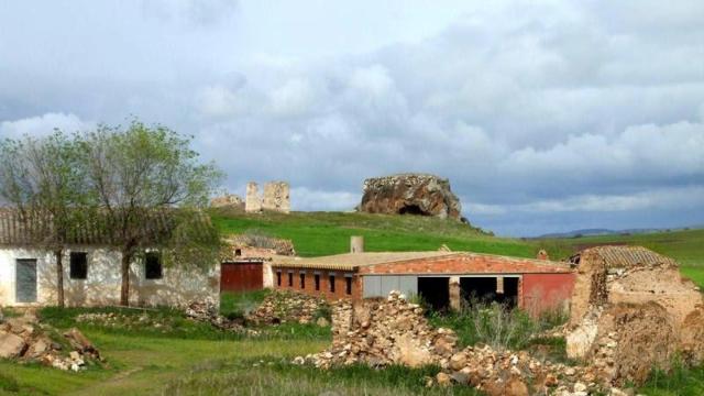Ciruela. / Foto: Turismo y Cultura en Ciudad Real.